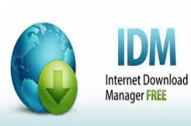 Internet Download Manager IDM 6