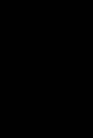The Dinner 2017