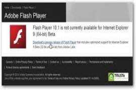 Adobe Flash Player for IE 15