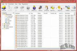 Internet Download Manager IDM 6